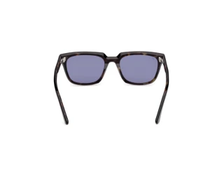 Rückansicht Web Eyewear WE0391 (05V)