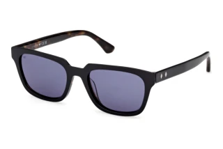 Vorderansicht Web Eyewear WE0391 (05V)