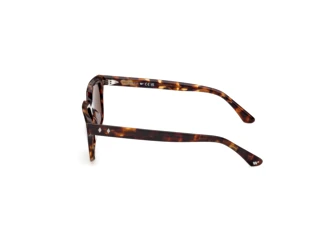 Seitenansicht Web Eyewear WE0391 (52N)