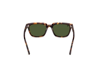 Rückansicht Web Eyewear WE0391 (52N)