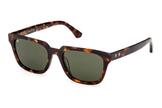 Vorderansicht Web Eyewear WE0391 (52N)