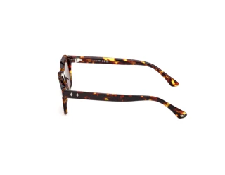 Seitenansicht Web Eyewear WE0392 (55E)