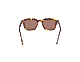 Rückansicht Web Eyewear WE0392 (55E)