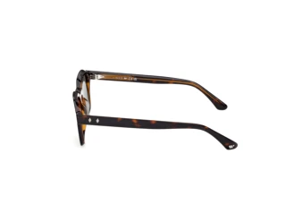 Seitenansicht Web Eyewear WE0392 (56N)