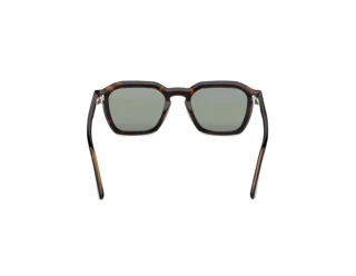 Rückansicht Web Eyewear WE0392 (56N)