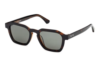 Vorderansicht Web Eyewear WE0392 (56N)