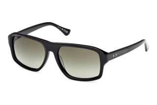 Vorderansicht Web Eyewear WE0393 (01P)