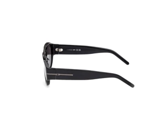 Seitenansicht Web Eyewear WE0399 (01A)