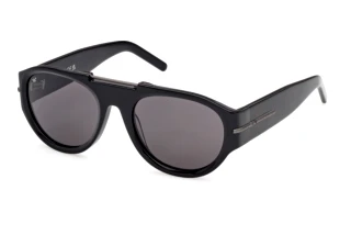 Vorderansicht Web Eyewear WE0399 (01A)