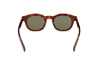 Rückansicht Zegna EZ0229 (52N)