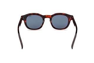 Rückansicht Zegna EZ0229 (54V)