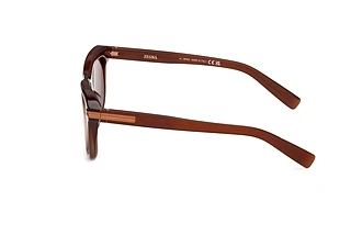 Seitenansicht Zegna EZ0269 (50E)