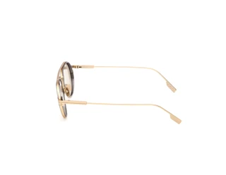 Seitenansicht Zegna EZ0295 (35E)