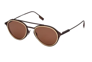 Vorderansicht Zegna EZ0295 (49E)