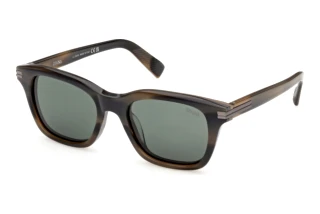 Vorderansicht Zegna EZ0303 (55R)