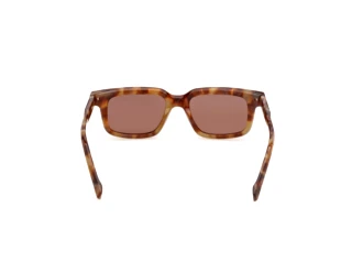 Rückansicht Zegna EZ0312 (55E)