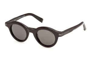 Vorderansicht Zegna EZ0313 (48D)