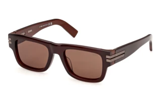 Vorderansicht Zegna EZ0317 (47E)
