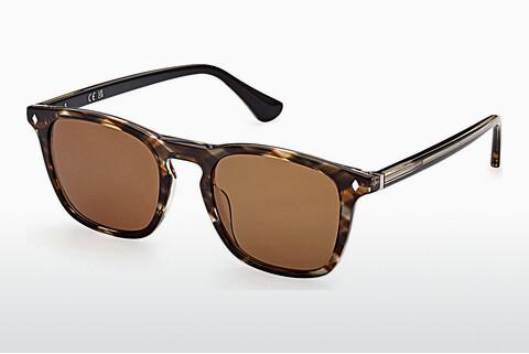 Sonnenbrille Web Eyewear WE0327 50E