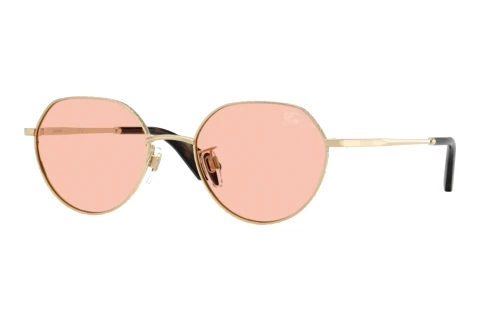 Sonnenbrille Burberry BE3173D 110984