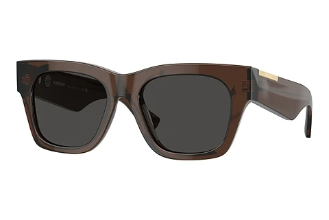 Sonnenbrille Burberry BE4424 411687