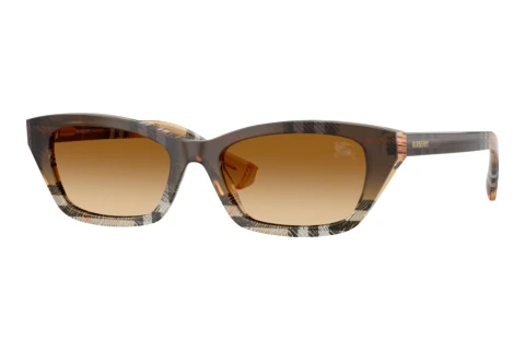 Sonnenbrille Burberry BE4488 420213