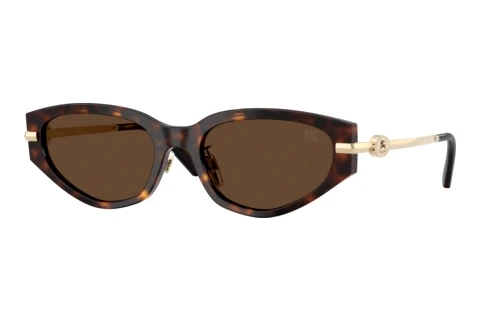 Sonnenbrille Burberry BE4493D 300273