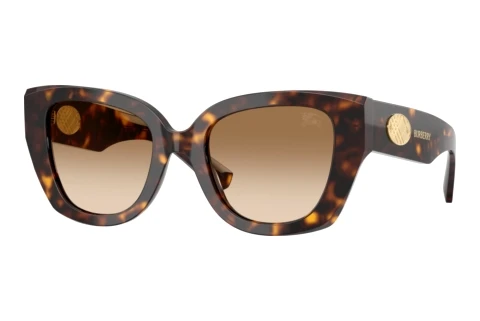 Sonnenbrille Burberry BE4503 300289