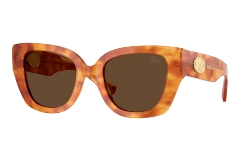 Sonnenbrille Burberry BE4503 425673