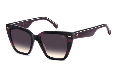 Sonnenbrille Carrera CA 3108/G/S 7FF/UM