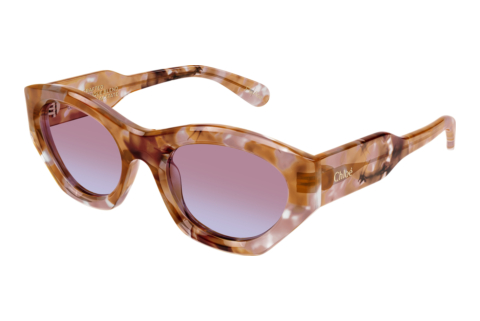 Sonnenbrille Chloé CH0220S 013