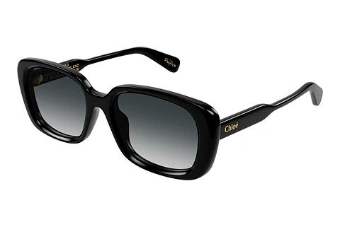 Sonnenbrille Chloé CH0225SK 001