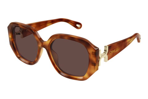 Sonnenbrille Chloé CH0236S 006