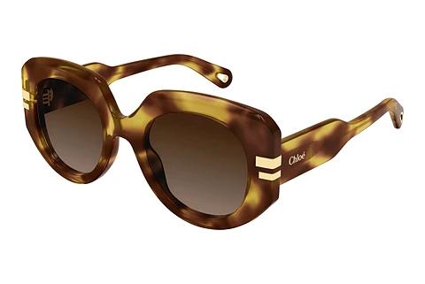 Sonnenbrille Chloé CH0257S 002
