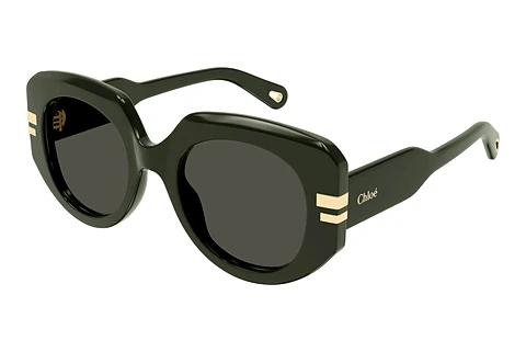 Sonnenbrille Chloé CH0257S 003