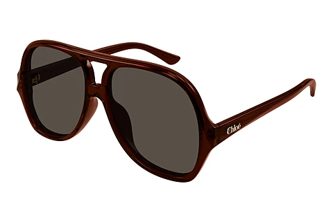 Sonnenbrille Chloé CH0289S 002