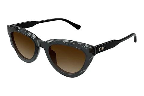Sonnenbrille Chloé CH0294S 005