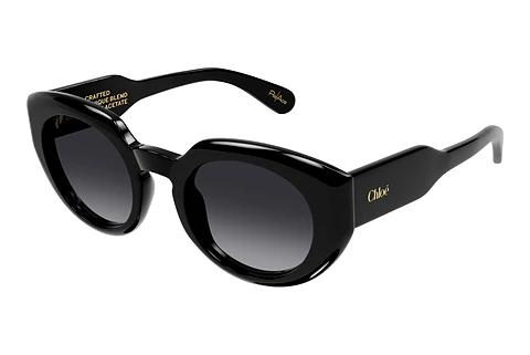 Sonnenbrille Chloé CH0311S 001