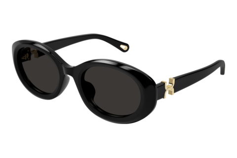 Sonnenbrille Chloé CH0323SK 001