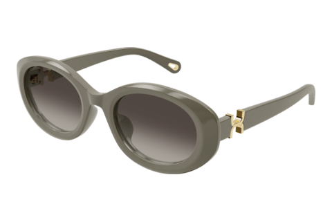 Sonnenbrille Chloé CH0323SK 003