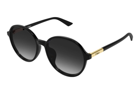 Sonnenbrille Chloé CH0365SK 001
