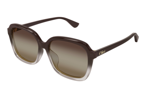 Sonnenbrille Chloé CH0390SK 003