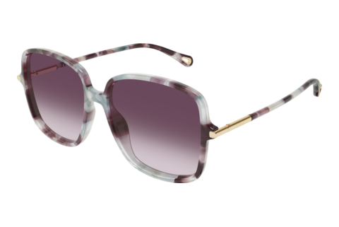 Sonnenbrille Chloé CH0396S 004