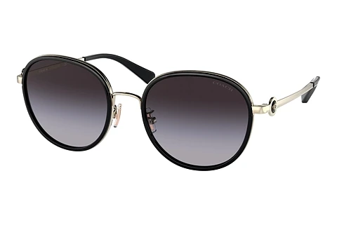 Sonnenbrille Coach C6179 (HC7129 50028G)