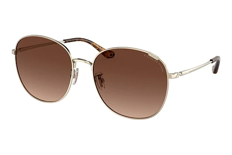 Sonnenbrille Coach C7996 (HC7134 9005T5)