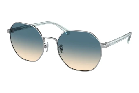 Sonnenbrille Coach CH556 (HC7147 90014M)