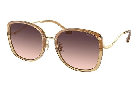 Sonnenbrille Coach CL905 (HC7157D 5736U8)
