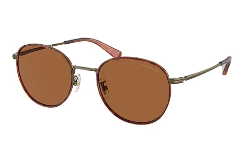 Sonnenbrille Coach CR631 (HC7163 933373)