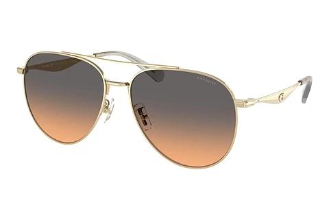 Sonnenbrille Coach CW193 (HC7169 900518)