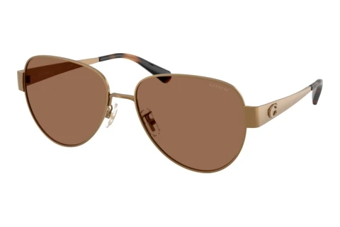 Sonnenbrille Coach CDP37 (HC7186 948473)